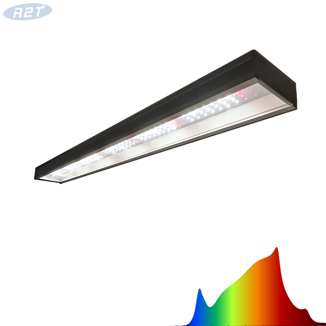 R2TGrow Gearbar-100 135W Linear LED Grow Light Luxeon 3000K CRI90 & Epileds ชิป 660nm 730nm LED Grow Light Hydroponic