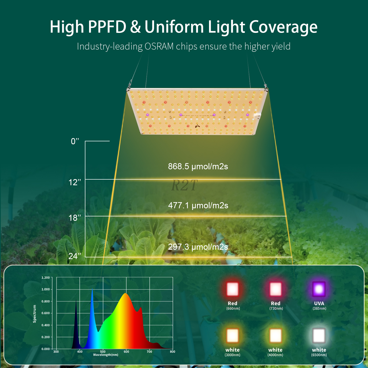 R2TGrow Full Spectrum LED Quantum Alpha 150W QP304+16 3000k+4000K+IR+UVA LED Grow โคมไฟ