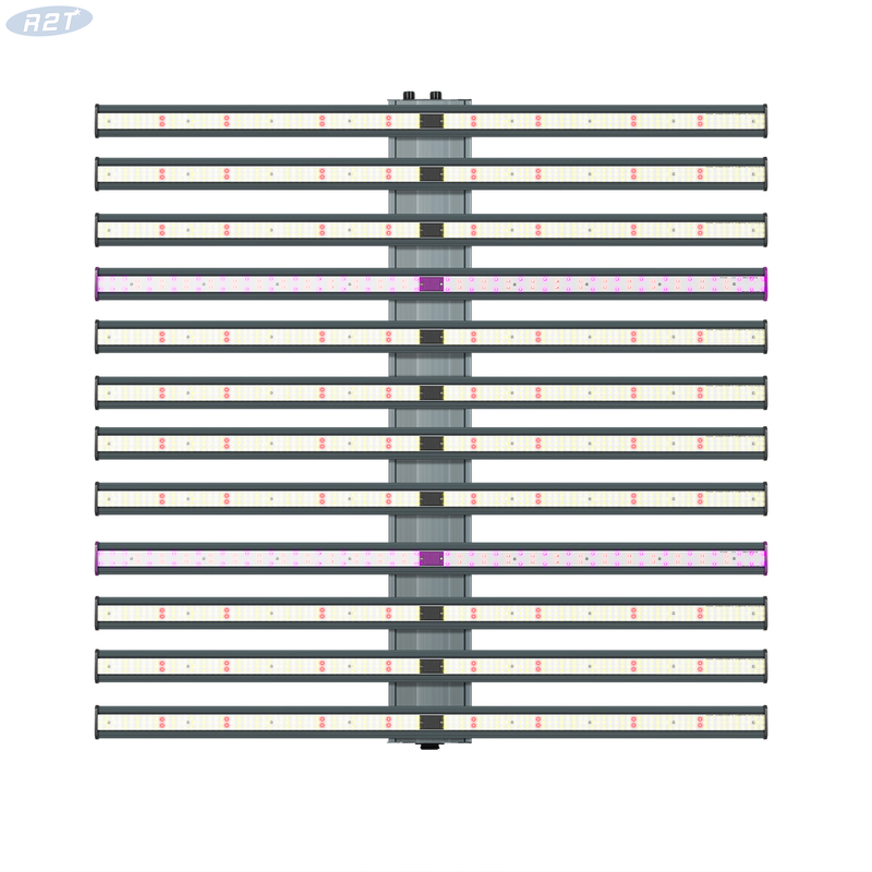 R2TGrow Waterproof 2 Channels OEM ราคาสมเหตุสมผล LED Grow Light 1200W 12 Bar สำหรับการปลูกพืชทางการแพทย์