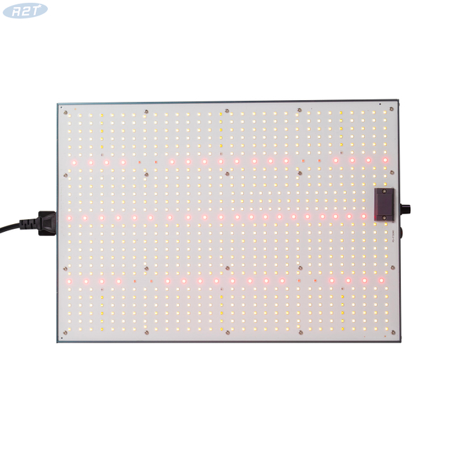 R2TGrow 2024 Alpha Pro LED Grow Light 240W เต็มสเปกตรัมสำหรับเรือนกระจก